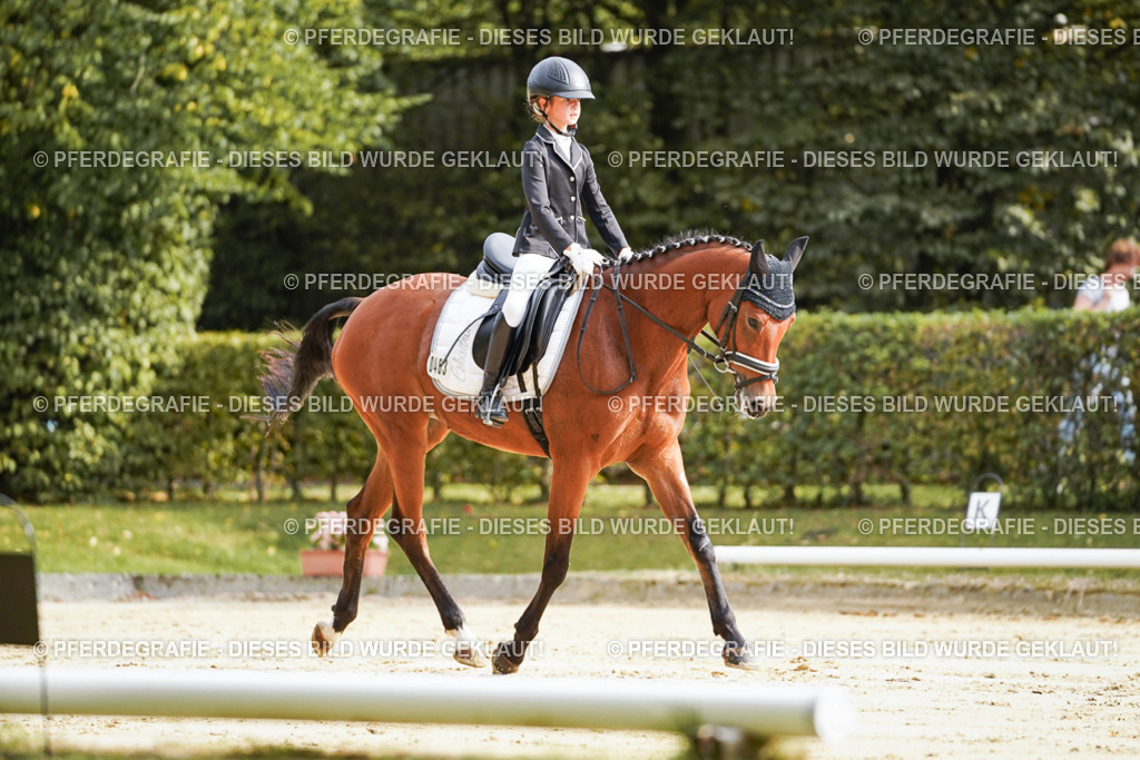 DSC03970 | Pferdegrafie