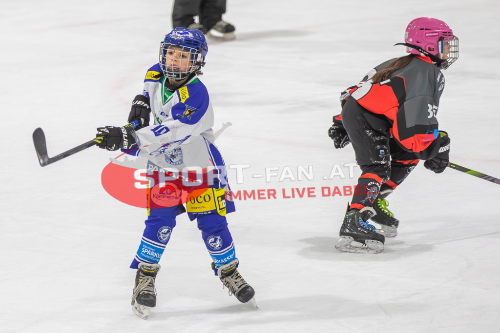 Eishockey | Eishockey, KEHV U10 Abschlussturnier am 17.03.2024 in Ferlach (HTC Eissporthalle), Austria, (Photo by Ernst Krawagner sport-fan.at) - Realisiert mit Pictrs.com
