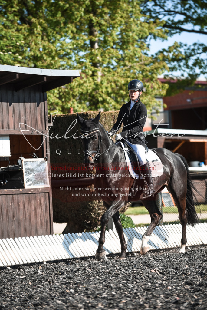 DSC_8335 | Pferde- und Turnierfotografie in Westsachsen. Pferdeportraits, Auftragszeichnungen und intuitive Kunst.