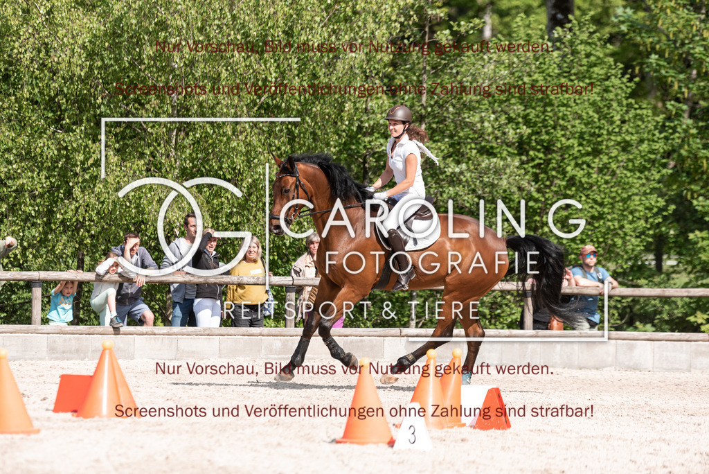 DSC_1912 | Turnierfotografin Carolin Gieschke, Turnierfotografie Carolin G Fotografie, Turnierfotos Kirchheim/Teck, Esslingen, Stuttgart, Bodenseekreis