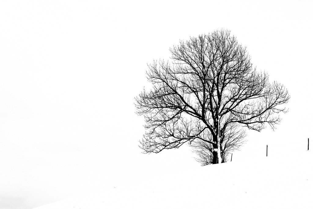 2021_12_07 BRM04632 | bridgeman - Realisiert mit Pictrs.com