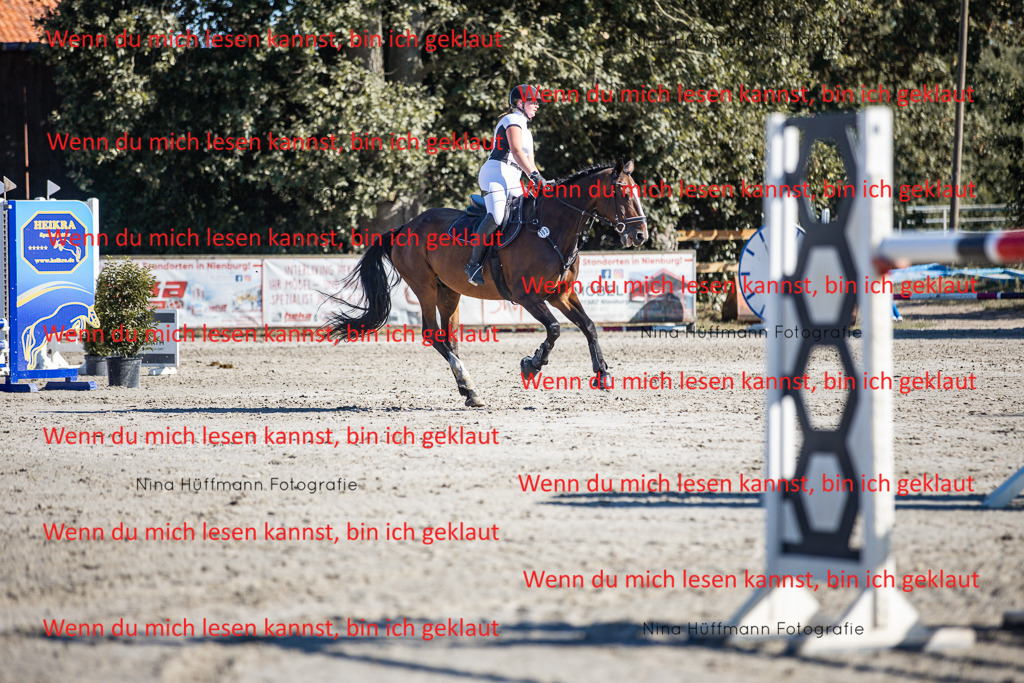 BK1A8104 | Turnierbilder Turnierfotos Nina Hüffmann Turnierfotografie Pferdefotografie Tierzeichnung Haustierzeichnung Pferdezeichnung Hundezeichnung Videograf  - Realisiert mit Pictrs.com