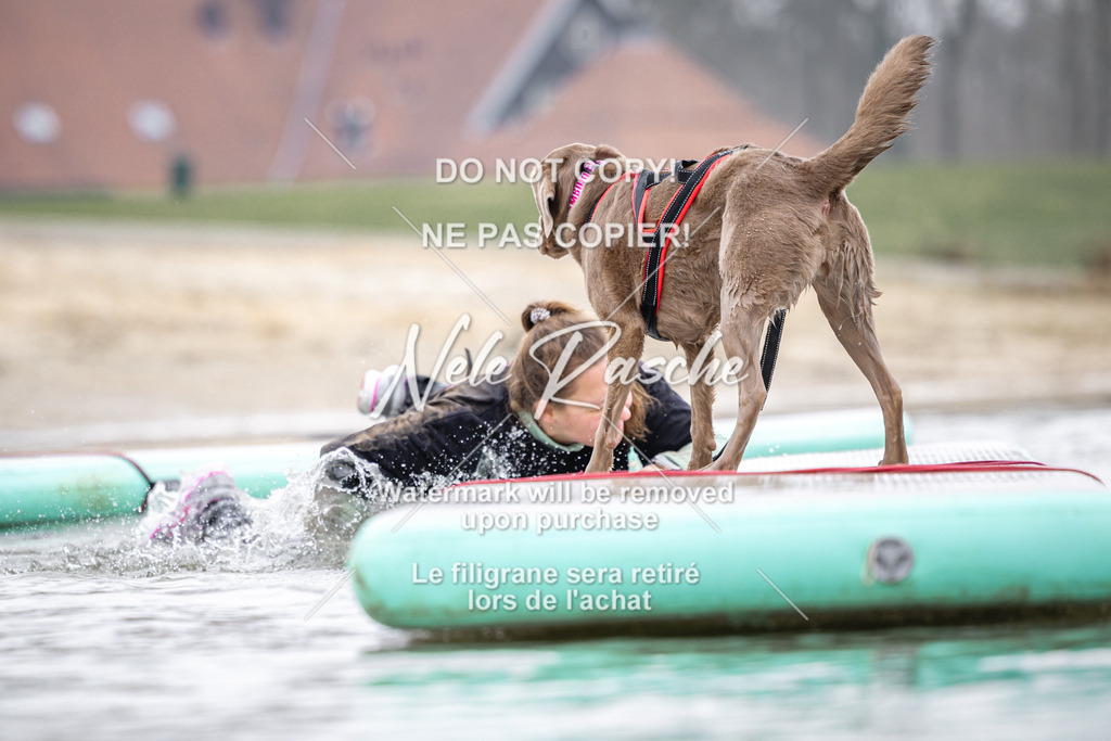 nelerasche_Hulsbeek_Sa1100-1130_335 | nelerasche