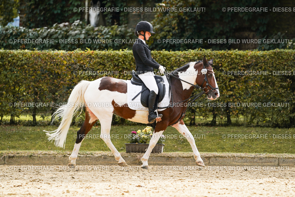 DSC01337 | Pferdegrafie