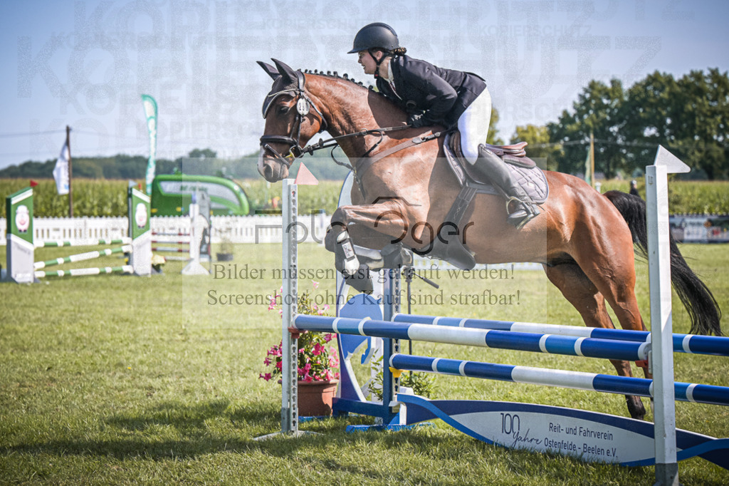 DOS_2676 | Entdecke hochwertige Reitturnierfotos von Foto Oger. Professionell, emotional und authentisch – jetzt Lieblingsmomente im Shop bestellen.Deutschlandweite Turnierfotografie. - Realisiert mit Pictrs.com