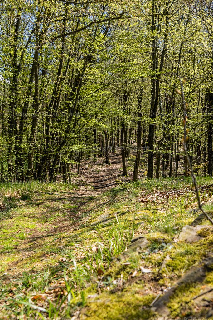 Bad_Berneck-6 | Robin Zinnert - Realisiert mit Pictrs.com