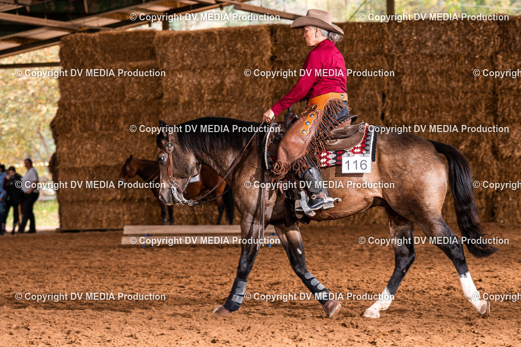 Balingen Tag 1-879 | dv-media-shop - Realisiert mit Pictrs.com