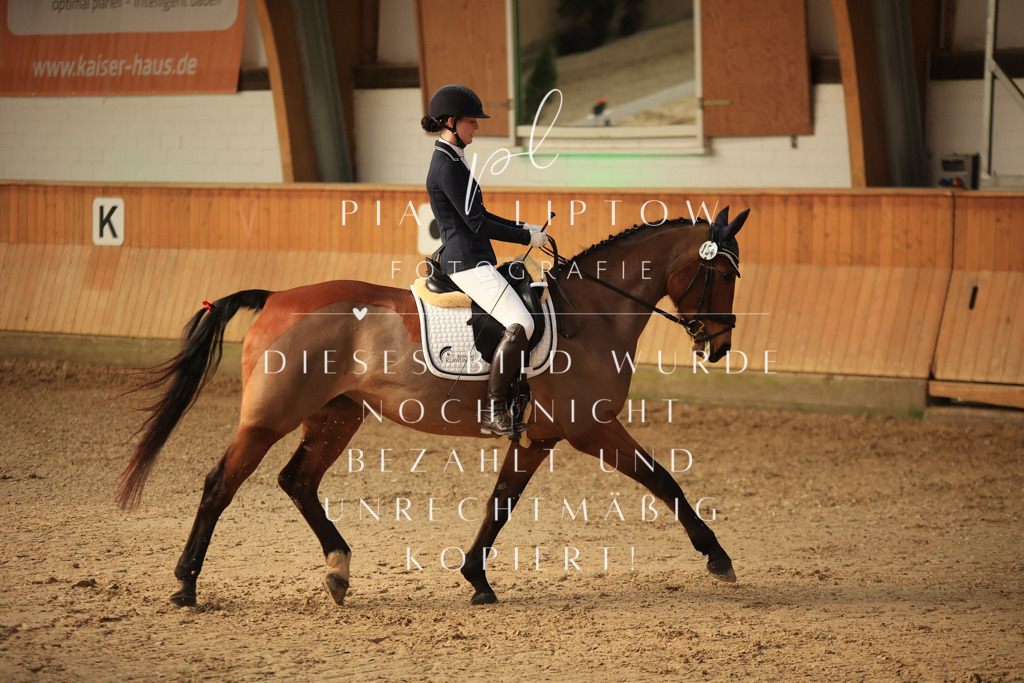 IMGT1608 | pl-fotografie