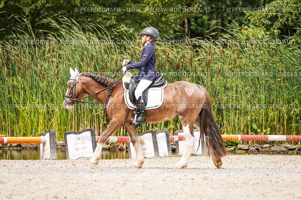 DSC04512 | Pferdegrafie