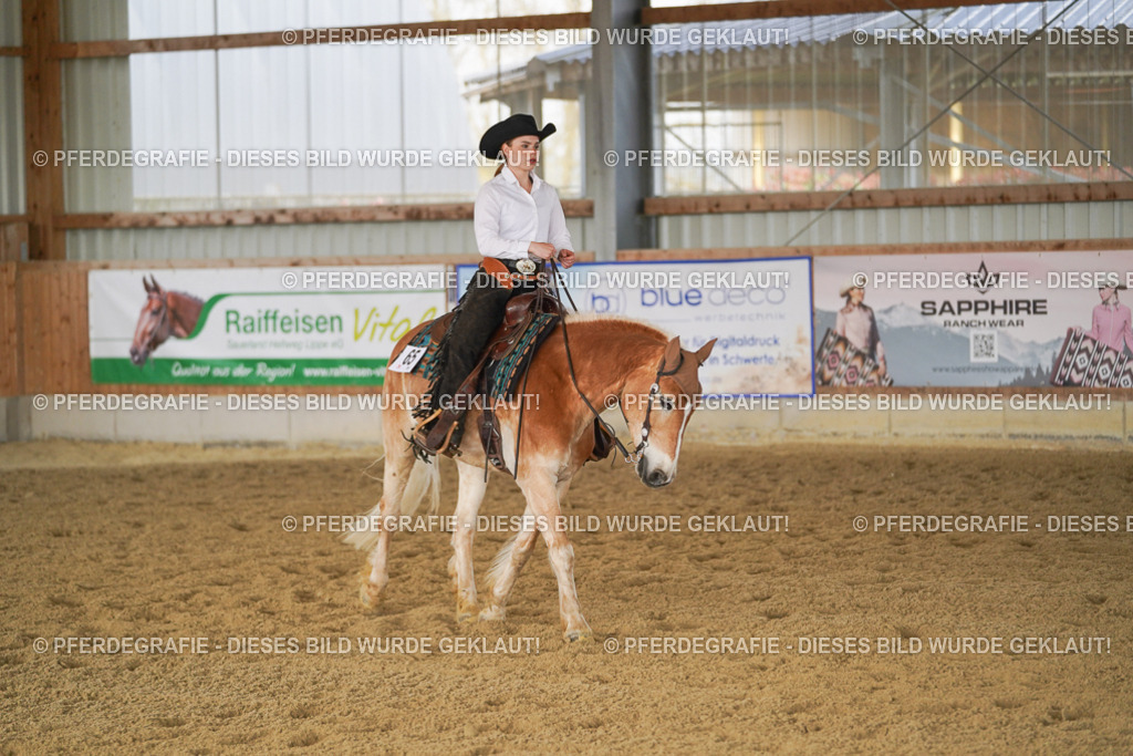 DSC01194 | Pferdegrafie