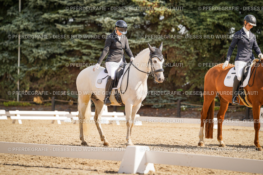 DSC01013 | Pferdegrafie