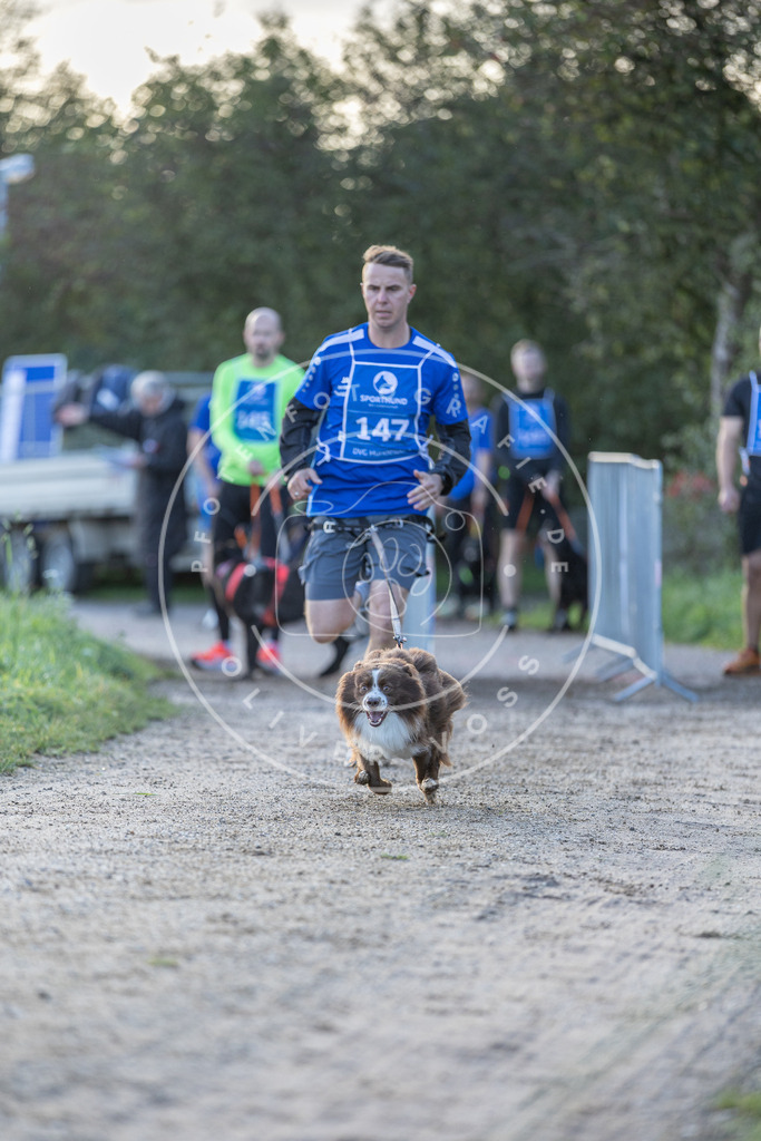 Pfotenfotografie.de_DV3A2767 | Hundefotografie, Tierfotograf, Pfotenfotografie, Fotoshooting Hund, Hunde Portrait, Hundesport, Hundeportraits, Heideshooting, Hunde, Sportfotograf, Hundefotograf, Turnierhundsport, THS, canicross - Realisiert mit Pictrs.com
