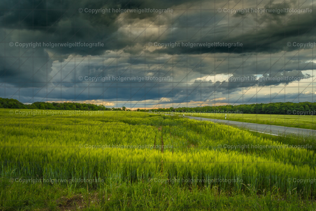 20220524185802D75_3138 | Kaufen sie online außergewöhnliche Fotografien auf Leinwand Acrylglas Fotoprint Aludibond von holgerweigeltfotografie - Realisiert mit Pictrs.com
