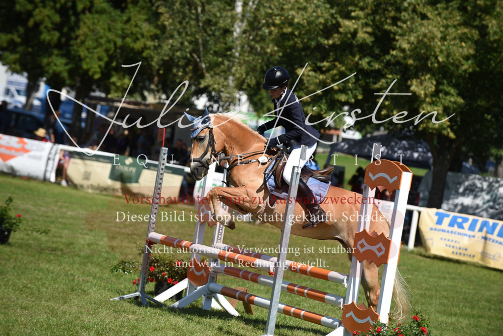 DSC_9623 | Pferde- und Turnierfotografie in Westsachsen. Pferdeportraits, Auftragszeichnungen und intuitive Kunst.