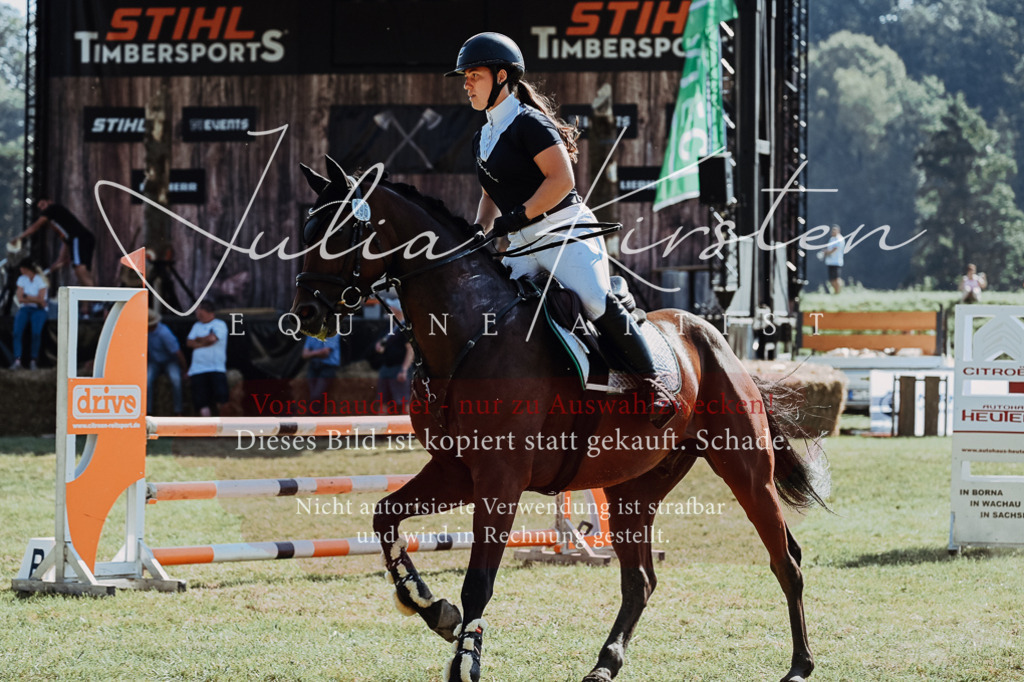 DSC_5706 | Pferde- und Turnierfotografie in Westsachsen. Pferdeportraits, Auftragszeichnungen und intuitive Kunst.