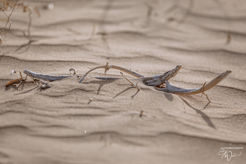 Ayaz Kala, Kizilkum, Usbekistan | Herzlich willkommen auf meiner Seite! Ich bin Elke Wallnisch, Deine Fotografin für lichtstarke Momente. Der Name steht für alles, was mich mit der Fotografie verbindet: Das Licht und seine machtvolle Wirkung auf eine Situation oder unsere Stimmung - Realisiert mit Pictrs.com