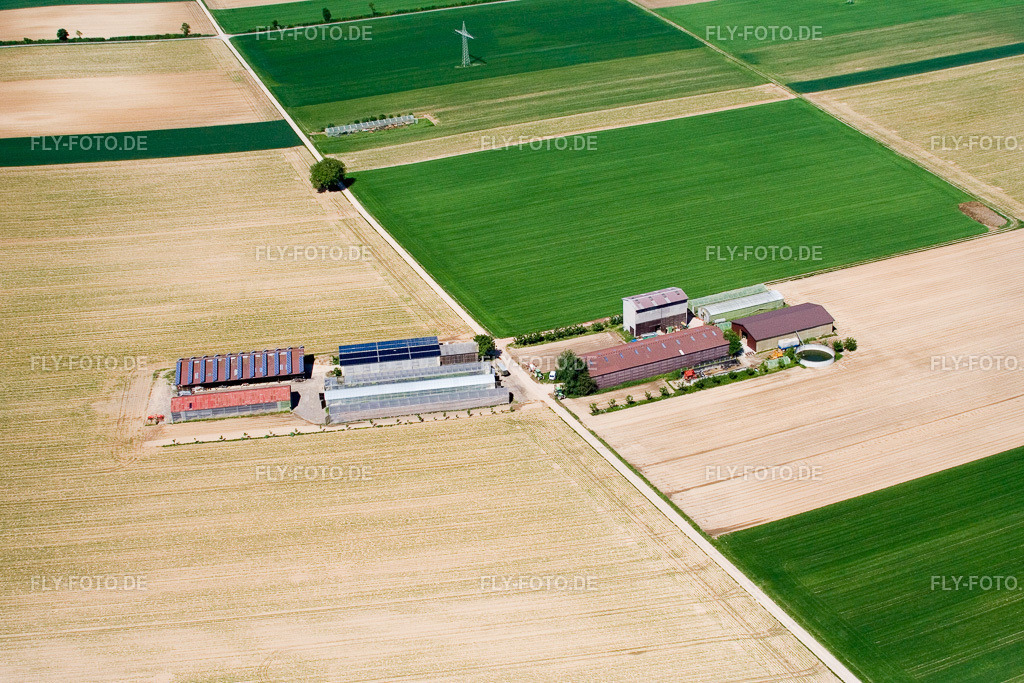 Kandel Aussiedlerhof am Höhenweg | Luftbild: Kandel Aussiedlerhof am Höhenweg in Kandel im Bundesland Rheinland-Pfalz in Deutschland. Foto: IMG_2079.jpg vom 24.05.2006 durch Werner Riehm/FLY-FOTO.de - Realisiert mit Pictrs.com