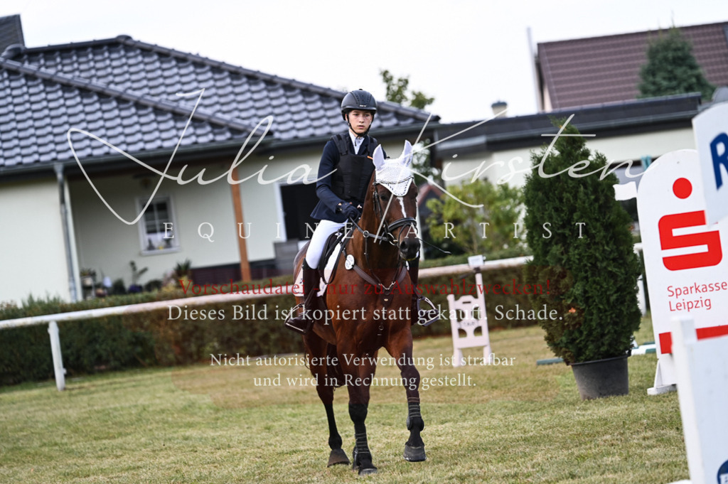 DSC_5637 | Pferde- und Turnierfotografie in Westsachsen. Pferdeportraits, Auftragszeichnungen und intuitive Kunst.