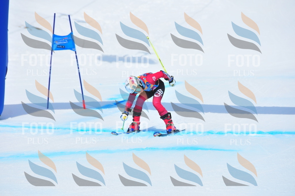 DSC_6052 | holidayphoto