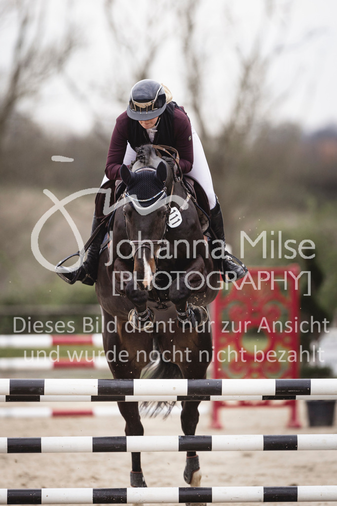 240327_Fruehlingsfest_Stil-L-2-405 | Deine schönsten Turniermomente als professionelle Fotos! Entdecke hochwertige Pferdesport-Fotografie im Online-Shop. Jetzt Fotos finden & bestellen!