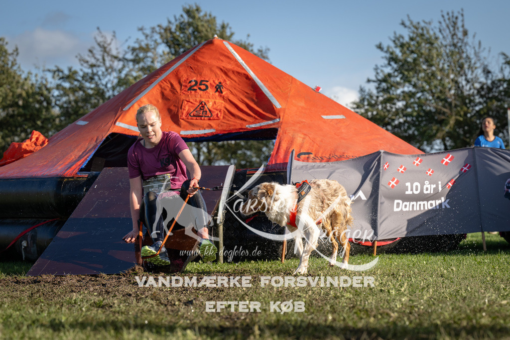 1447-90010 | kk-dogfotos