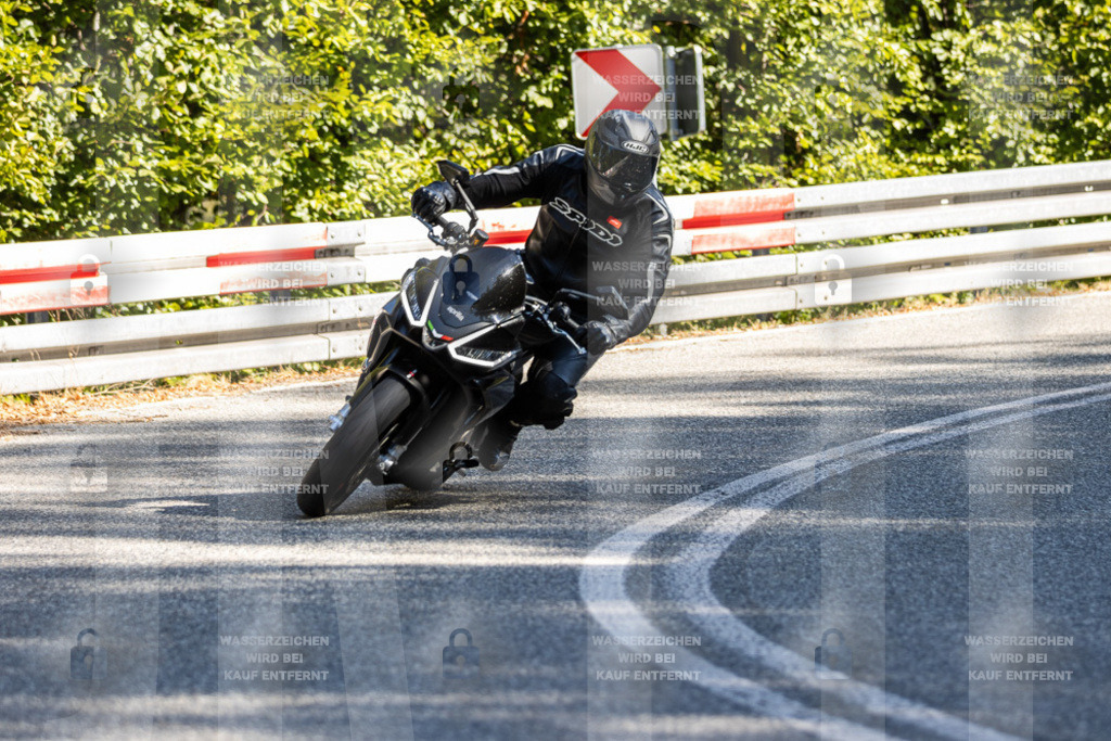 IMG_3731 | jrph - Realisiert mit Pictrs.com