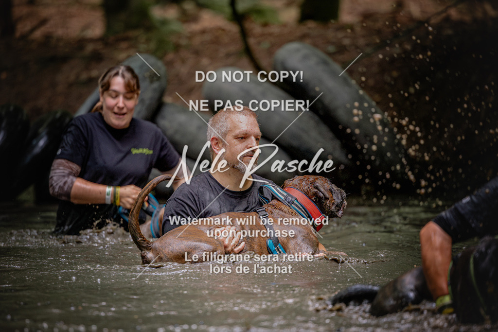 nelerasche_SaWingst1530-1600_90 | nelerasche