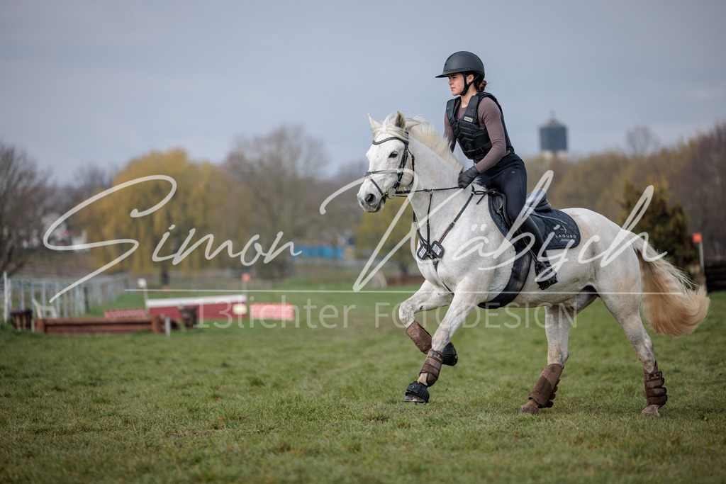 20260329-_3LI3680 | Tierfotografie Pferde, Hunde, Katzen, Haustiere.
Turnierfotografie Reitturniere, Reiten, Springreiten, Dressur in Hanau, dem Main-Kinzig-Kreis und dem Rhein-Main- Gebiet um Frankfurt