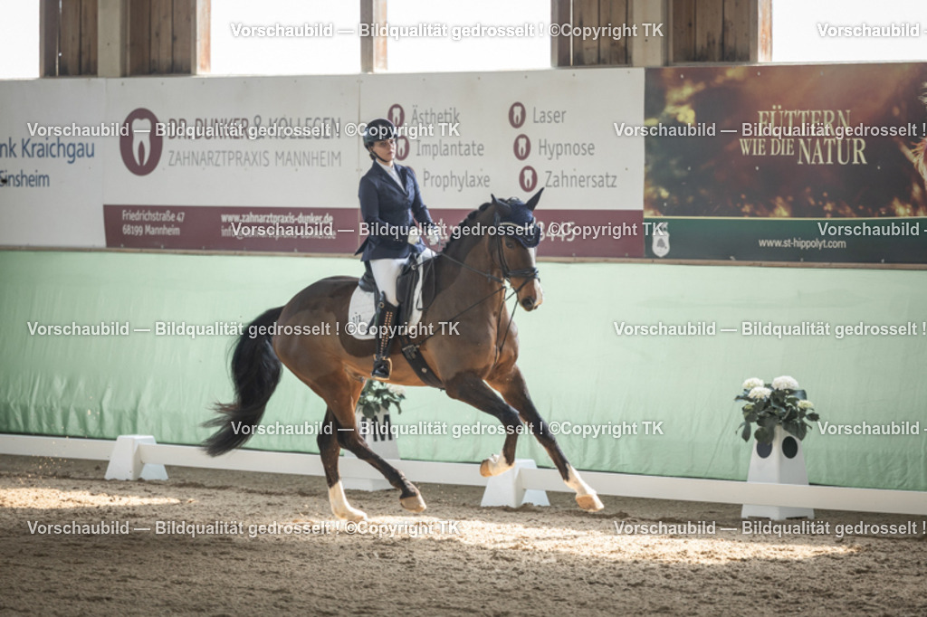 _D5A5460 | Emotionale Pferde- & People-Fotografie rund um Heidelberg, Leimen & Umgebung. Natürliche Fotos von Pferd, Mensch & Familie. Jetzt Termin sichern!