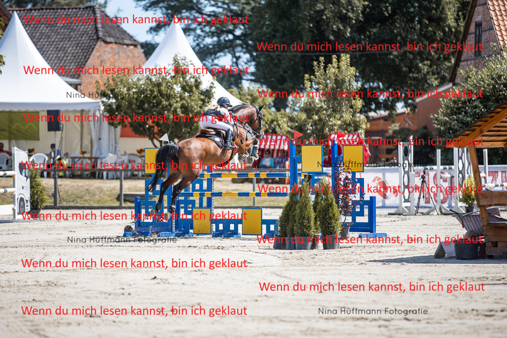 BK1A6546 | Turnierbilder Turnierfotos Nina Hüffmann Turnierfotografie Pferdefotografie Tierzeichnung Haustierzeichnung Pferdezeichnung Hundezeichnung Videograf  - Realisiert mit Pictrs.com