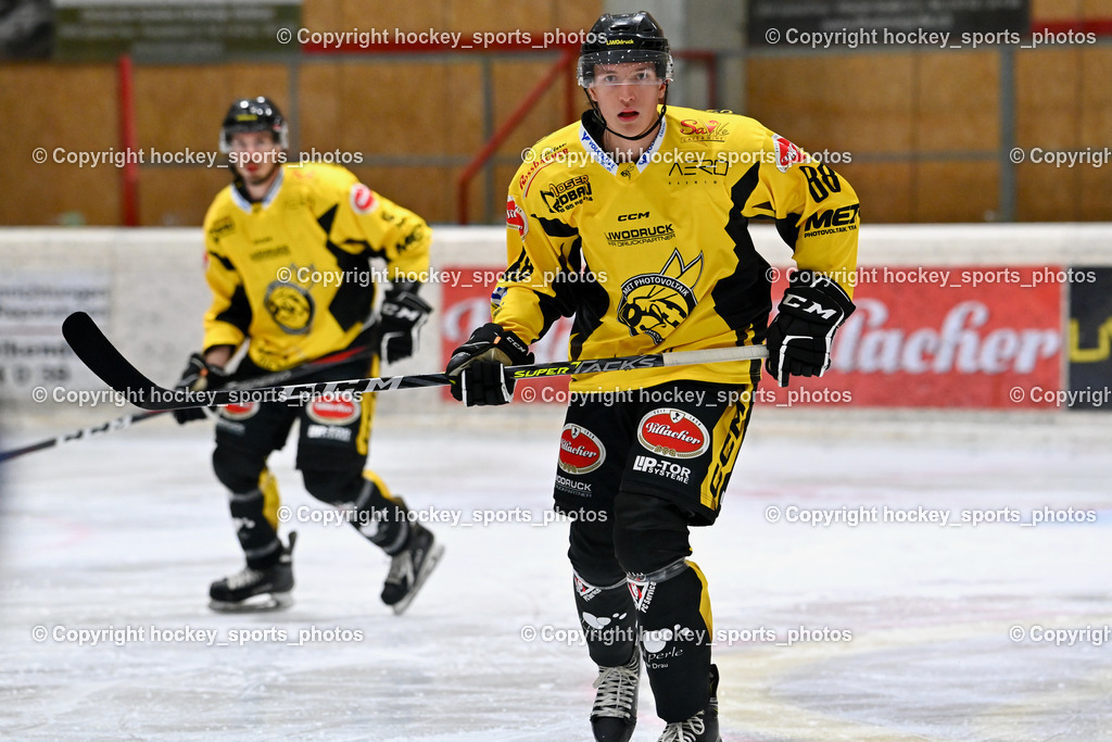 EC Spittal Hornets vs. ESC Steindorf 28.10.2023 | #88 Zauchner Daniel