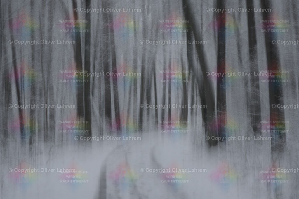 Heimatwald Illusion | Blick in den winterlichen Wald von Klein Welzheim / Seligenstadt.Die Bilder wurden mit einer Fotografische Technik aufgenommen und haben dadurch ein spezielle Ästhetik.