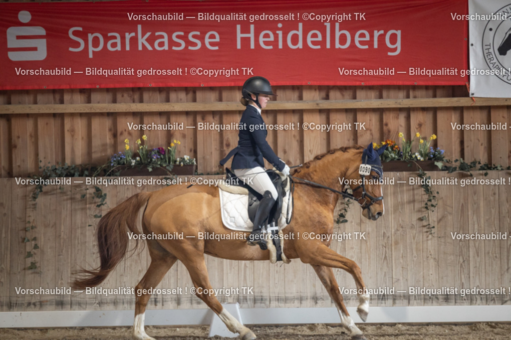 _D5A4485 | Emotionale Pferde- & People-Fotografie rund um Heidelberg, Leimen & Umgebung. Natürliche Fotos von Pferd, Mensch & Familie. Jetzt Termin sichern!