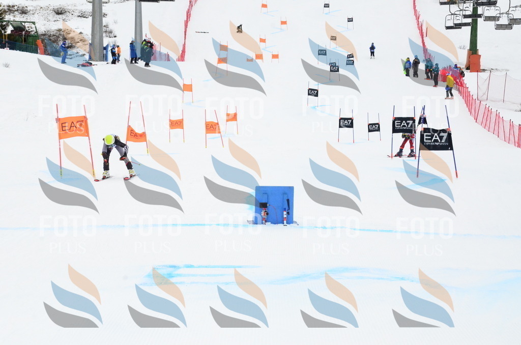 _ELE3917 | holidayphoto