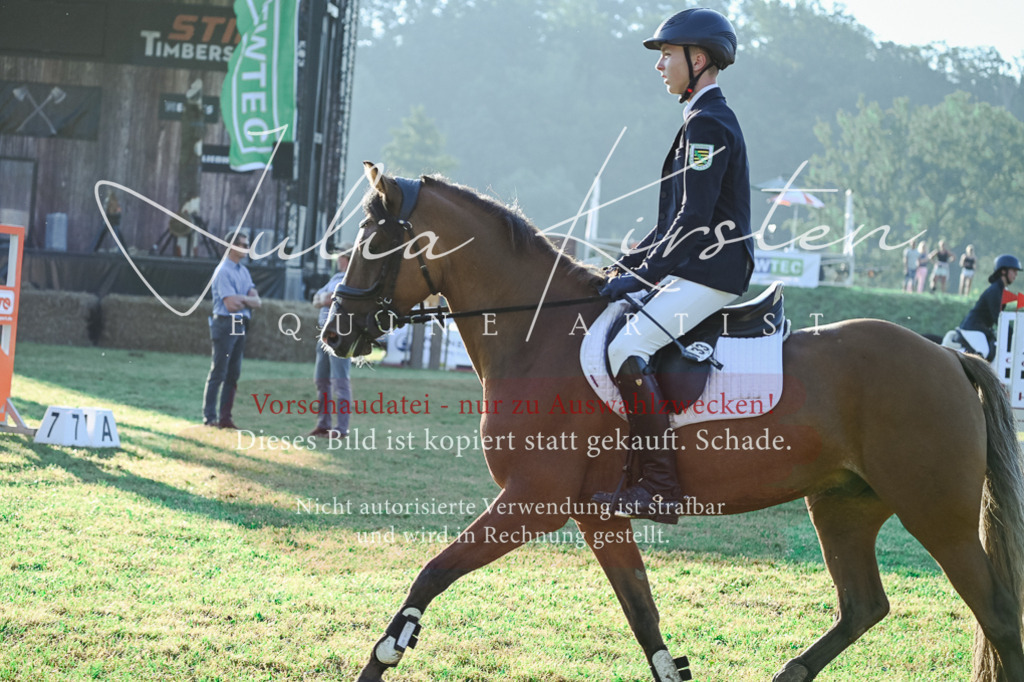 DSC_4097 | Pferde- und Turnierfotografie in Westsachsen. Pferdeportraits, Auftragszeichnungen und intuitive Kunst.