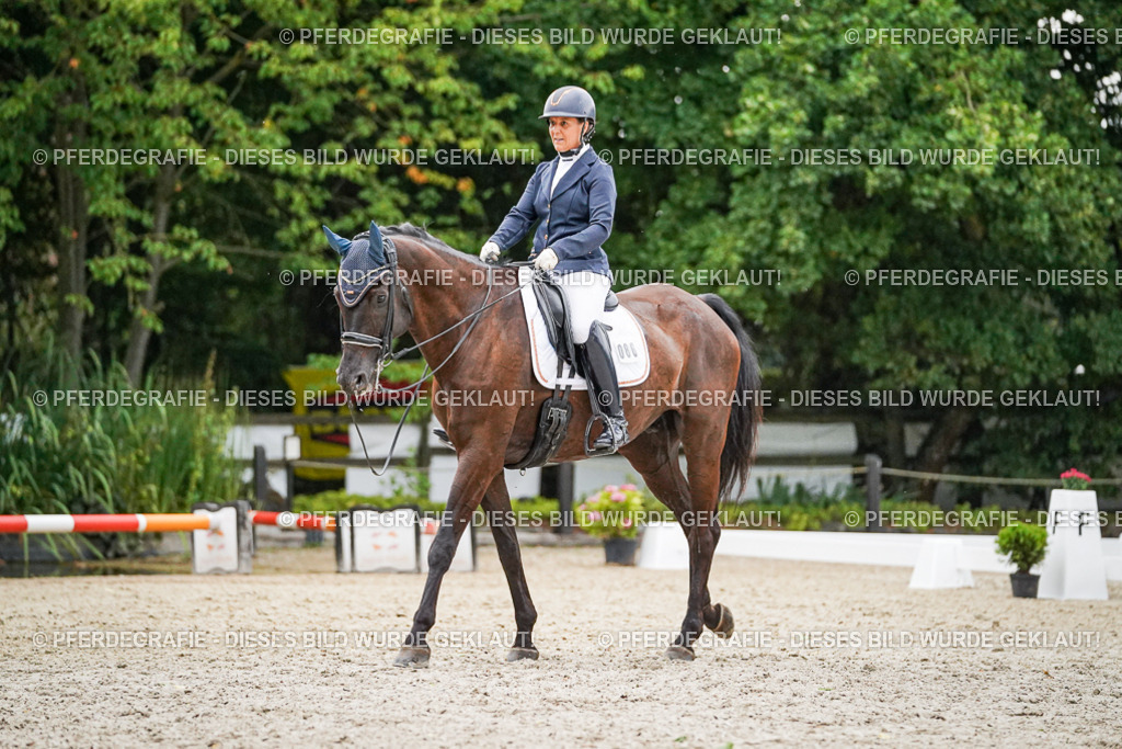 DSC09609 | Pferdegrafie