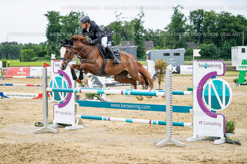 DSC06307 | Pferdegrafie