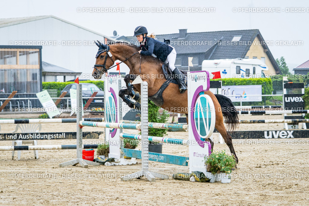 DSC02917 | Pferdegrafie