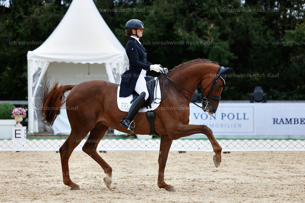 11-141-Dressur S___-Marixx-1856 | working equitationturnier fotograf videograf stoibphotography marixx film working equitation deutschland reitsport turnierfotografie eventfotografie equestrian events