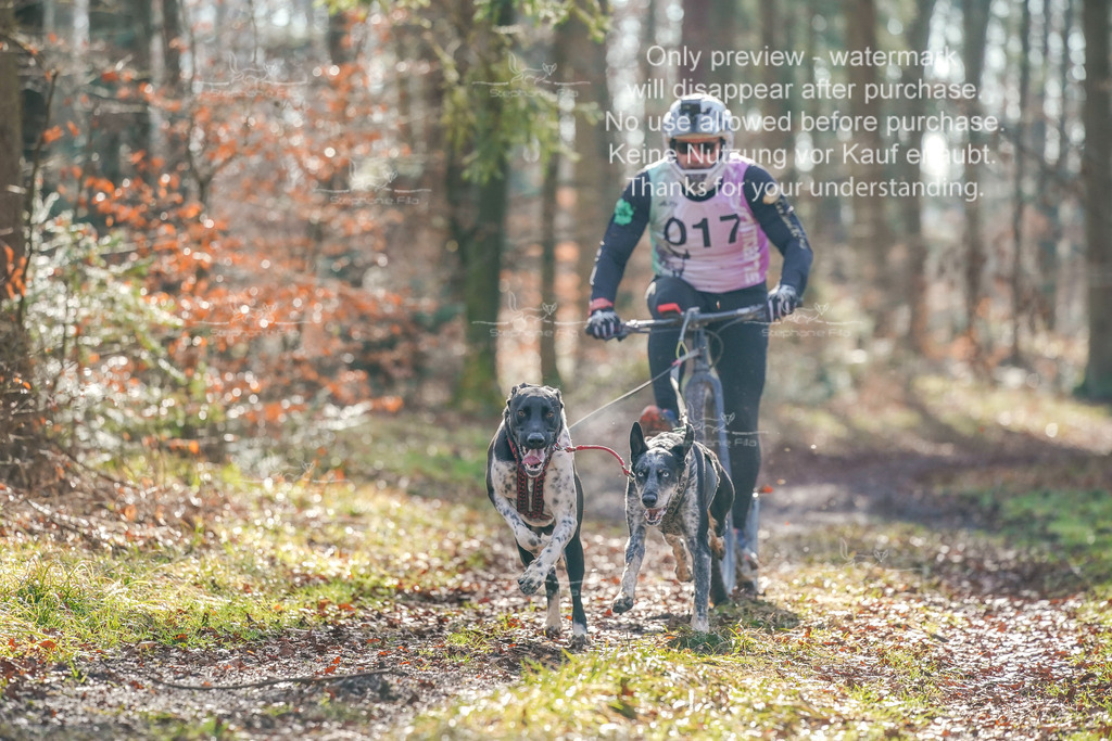 So_Scooter_2-10 | stephaniefillaphotographie - Realisiert mit Pictrs.com