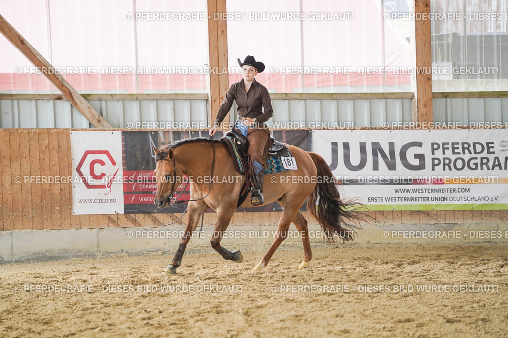 DSC04653 | Pferdegrafie