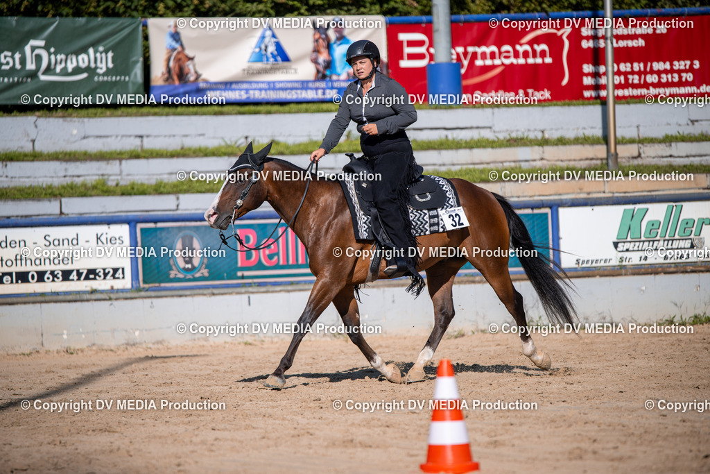 ZS1_0782 | dv-media-shop - Realisiert mit Pictrs.com