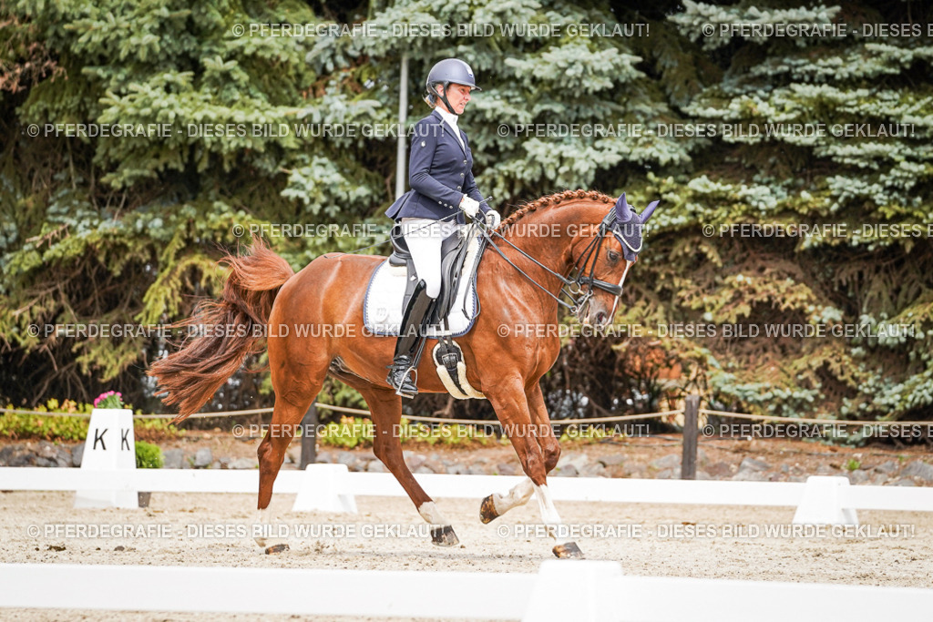 DSC05110 | Pferdegrafie