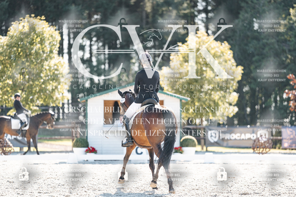 CK906236 | Turnierfotografie Pferdefotografie Trier Rheinland-Pfalz Pferdesport Reitsport Tierfotografie Sportfotografie Pferdevideo Pferdevideografie Equestrianvideography equestrianphotography  - Realisiert mit Pictrs.com