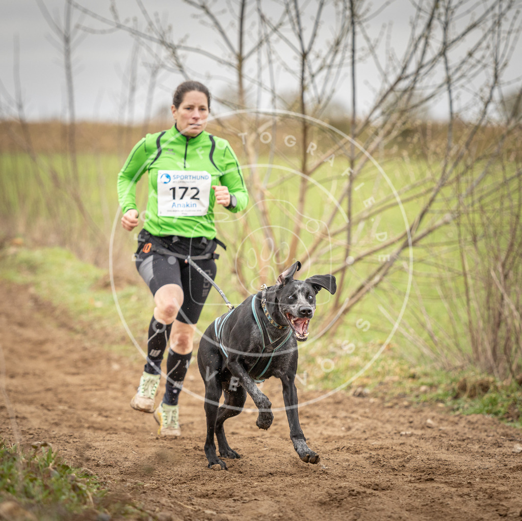 DV3A1969 | Hundefotografie, Tierfotograf, Pfotenfotografie, Fotoshooting Hund, Hunde Portrait, Hundesport, Hundeportraits, Heideshooting, Hunde, Sportfotograf, Hundefotograf, Turnierhundsport, THS,  - Realisiert mit Pictrs.com
