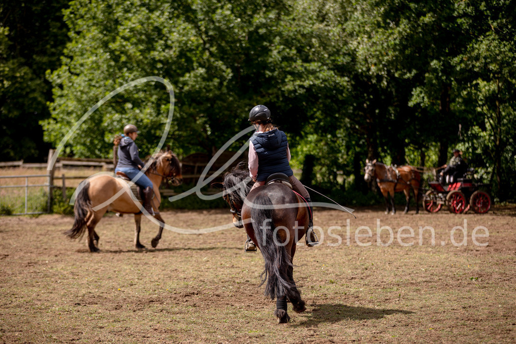846A0791 | fotosleben - Realisiert mit Pictrs.com