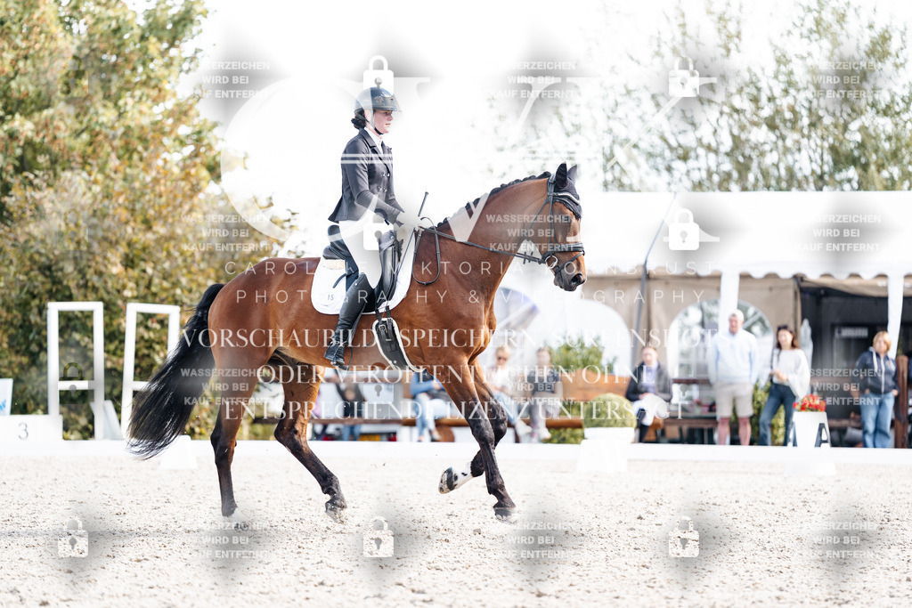 CK902400 | Turnierfotografie Pferdefotografie Trier Rheinland-Pfalz Pferdesport Reitsport Tierfotografie Sportfotografie Pferdevideo Pferdevideografie Equestrianvideography equestrianphotography  - Realisiert mit Pictrs.com