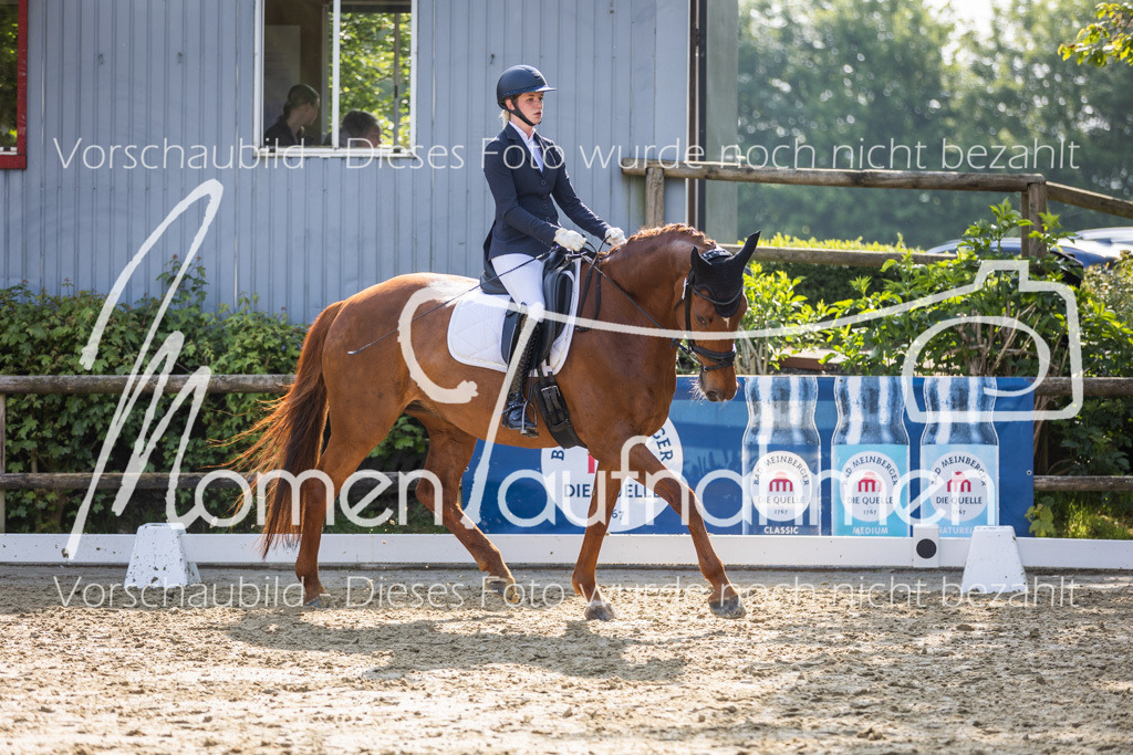 Donop24-A2-Dre-040 | MomenTaufnahmen Pferdesportfotos