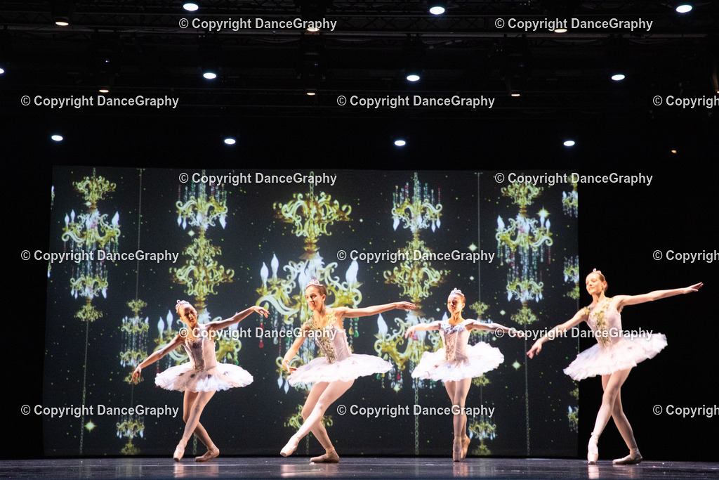 GPHY6917 | DanceGraphy - Realisiert mit Pictrs.com