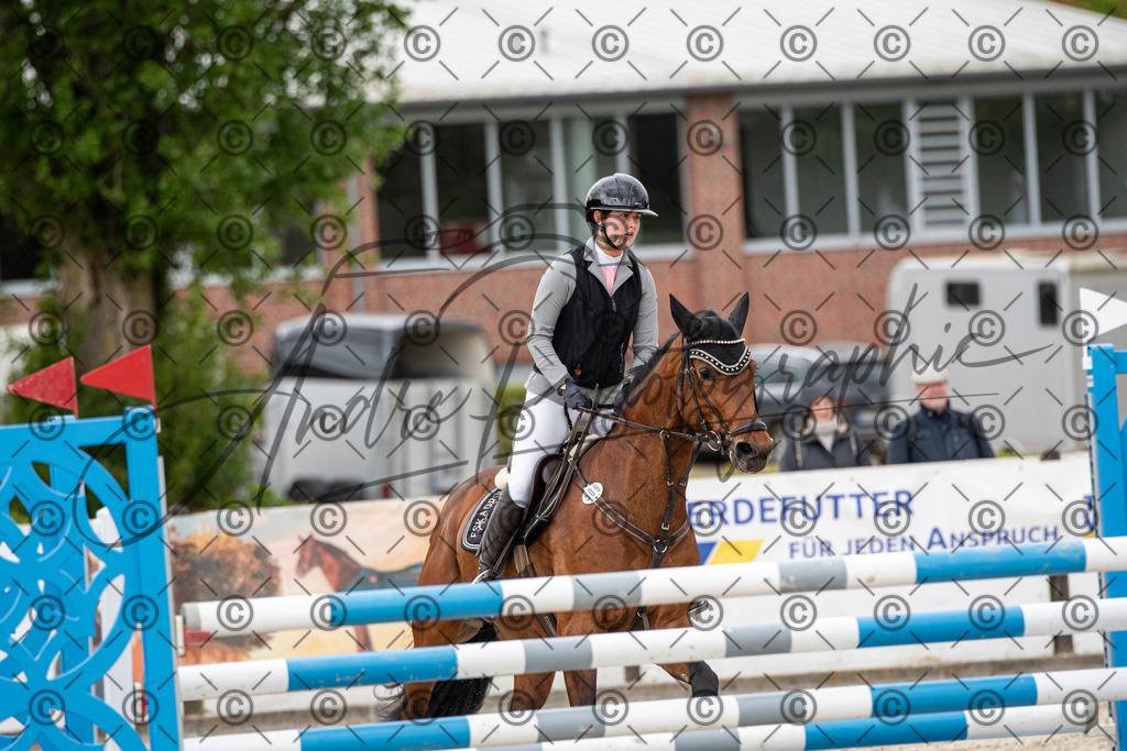 KPT_9914 | andre_photographic